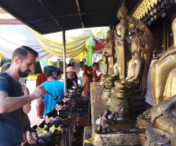 Chiang Mai: Wat Pha Lat & Wat Phra That Doi Suthep Tour
