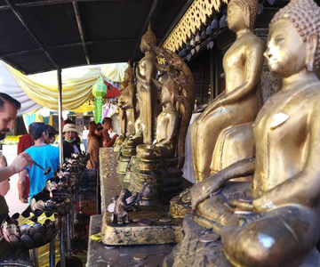 Chiang Mai: Wat Pha Lat & Wat Phra That Doi Suthep Tour