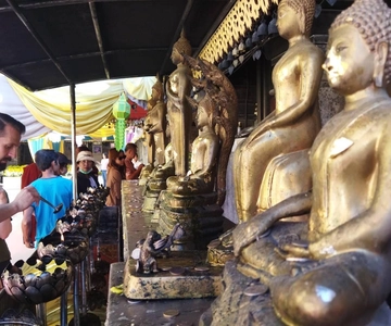 Chiang Mai Wat Pha Lat & Wat Phra That Doi Suthep Turu
