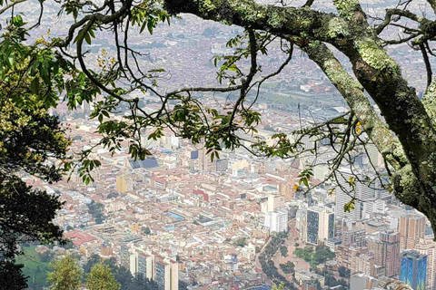 Tour privato di mezza giornata a Monserrate