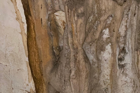 Depuis Tirana : Château de Petrela, grottes de Pellumbas et tyrolienne ...