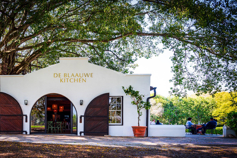 Kaapstad: reis door het wijnparadijs van Zuid-AfrikaKaapstad: Reis door het wijnparadijs van Zuid-Afrika