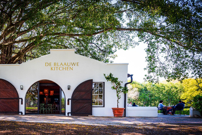 Kaapstad: reis door het wijnparadijs van Zuid-AfrikaKaapstad: Reis door het wijnparadijs van Zuid-Afrika