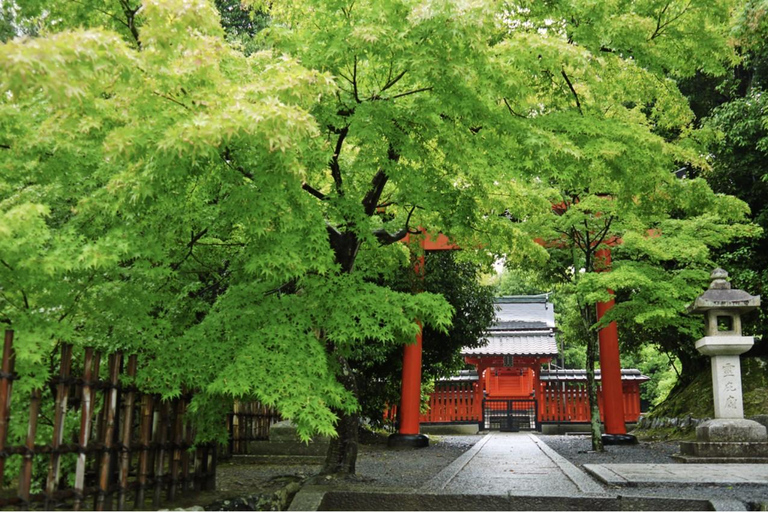 Kyoto: Arashiyama wandeltour met thee en voetbad