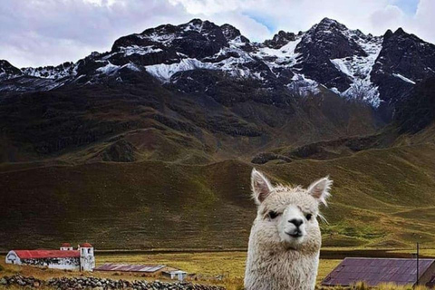 Round trip Cusco: Route of the sun + 2D in Puno