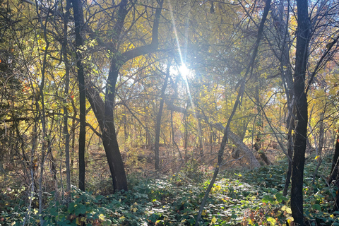 Sedona: E-Bike Sunset Tour to 7 Sacred Pools and Stupa Sedona: E-Bike Sunset Tour, 7 Sacred Pools, Buddhist Stupa
