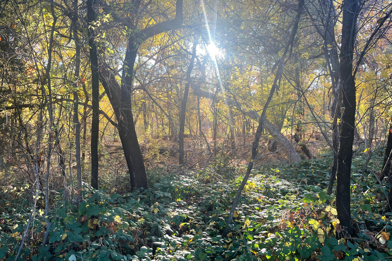 Sedona: E-Bike Sunset Tour to 7 Sacred Pools and Stupa Sedona: E-Bike Sunset Tour, 7 Sacred Pools, Buddhist Stupa
