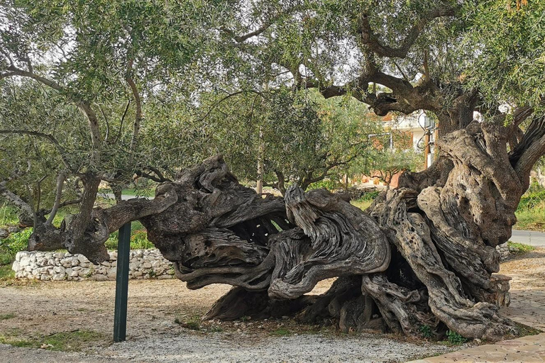 Zakynthos Island Tour: Shipwreck, Villages and Caves Tour