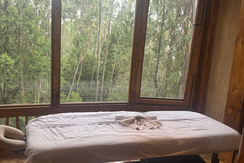 Addis Abeba: Wycieczka na górę Entoto z pakietem spa