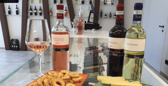 Bardolino: tasting of 6 White and Rosè wines with Lake view