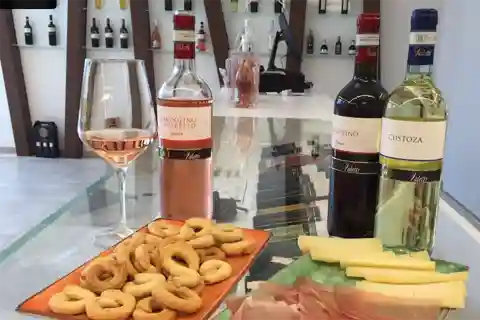 Bardolino: tasting of 6 White and Rosè wines with Lake view