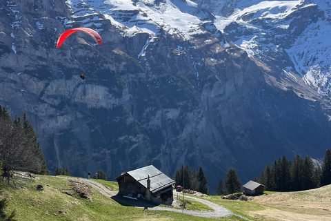 Interlaken: Scenic hiking tour from Mürren to Rotstock hut.