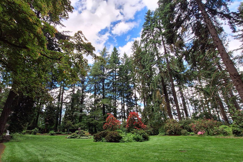 Portland: Der Ausflug zur Grotte