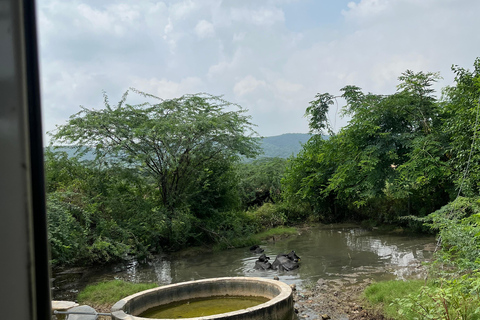 Jaipur: Village Tour with Local Activities