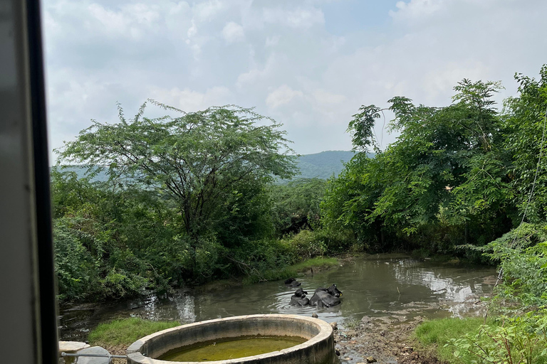 Jaipur: Village Tour with Local Activities