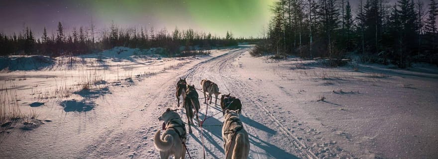 Alta : Randonnée en traîneau à chiens sous les aurores boréales
