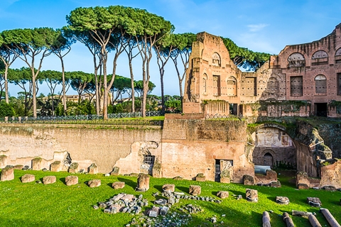 Roma: tour sin colas al Coliseo, Foro y monte PalatinoTour francés para grupos pequeños: Coliseo, Foro y Monte Palatino