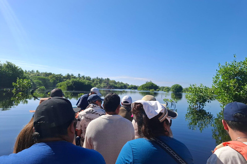 Safari Through the manfroves in Ventanilla, Oaxaca