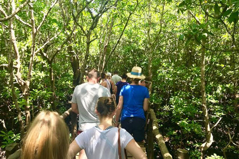 Zanzibar: Jozani Forest, Butterfly Center & Mtende Beach No HmHotel pickup and drop-off all included