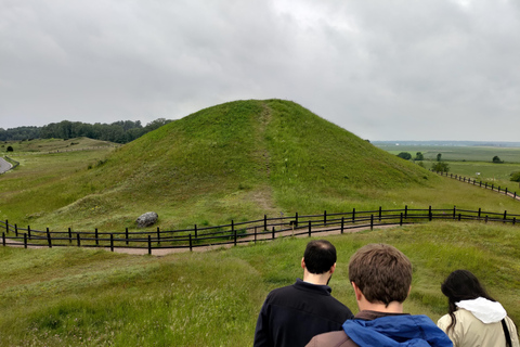 From Stockholm: Enköping, Petroglyphs and Viking 8h Day Tour Private tour - multiple languages possible