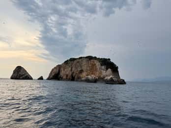 Ulcinj: tour in barca sul Mare Adriatico con picnic a base di pesce