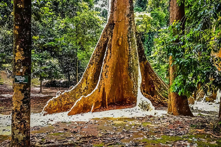 De Jacarta : Jardim Botânico, Cachoeiras, Vistas Naturais