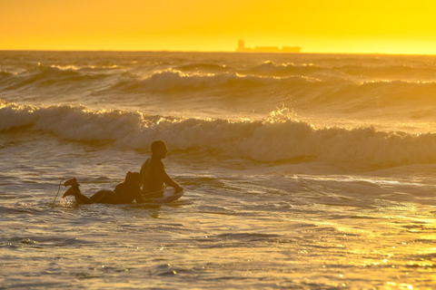 Porto: Surfing w małej grupie z transportemDoświadczenie surfingowe w małej grupie z transportem w Porto