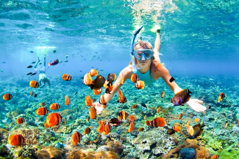 Maui: Molokini i Turtle Town z nurkowaniem z rurką i lunchem