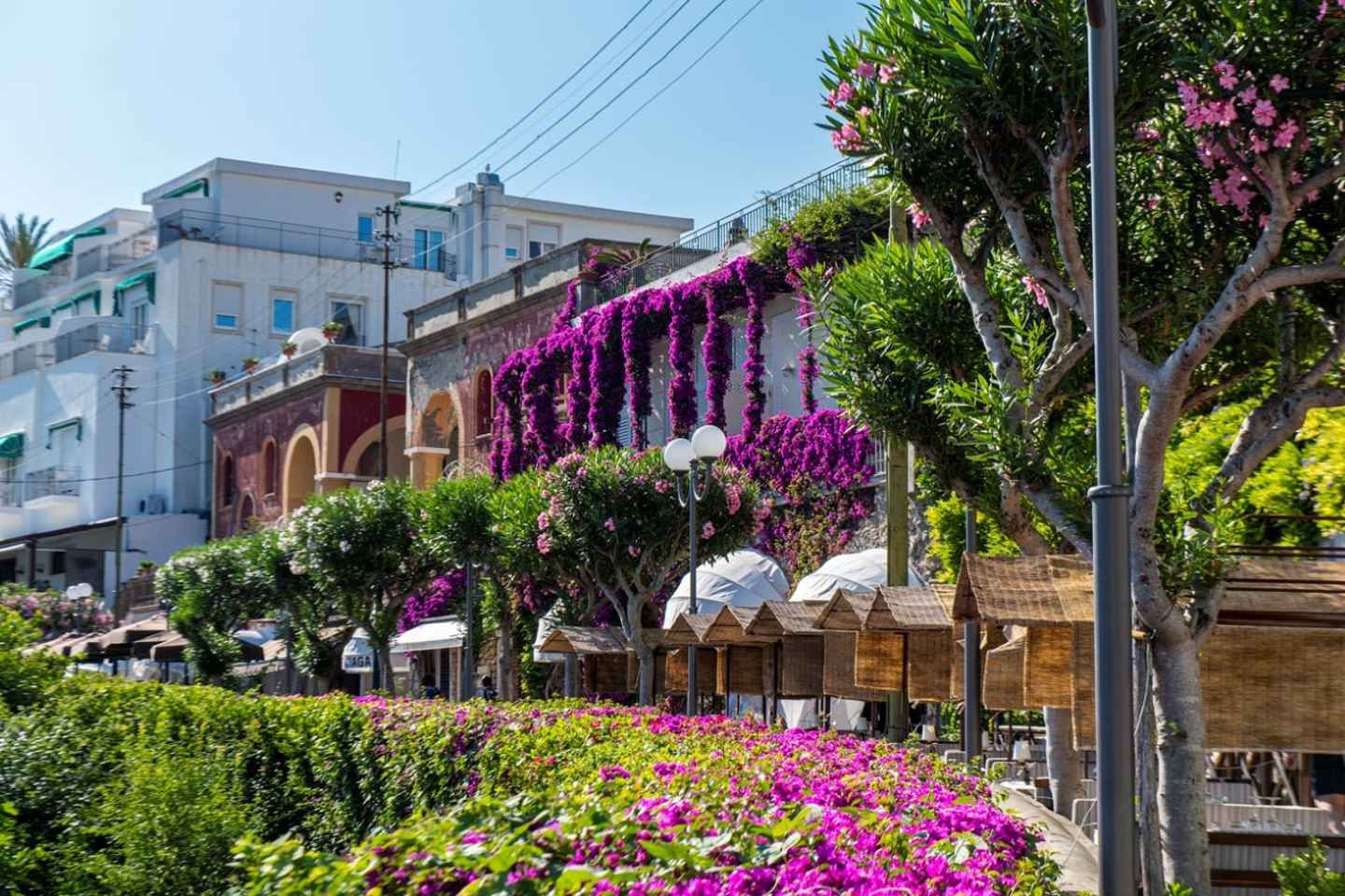Da Napoli: Gita giornaliera a Capri e Grotta Azzurra