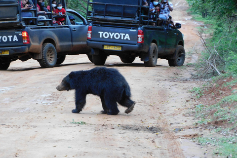 Yala Safari: High-Luxury PRIVATE Tours with Entry Tickets Half Day (6 hours) Safari PRIVATE Tours morning or afternoon