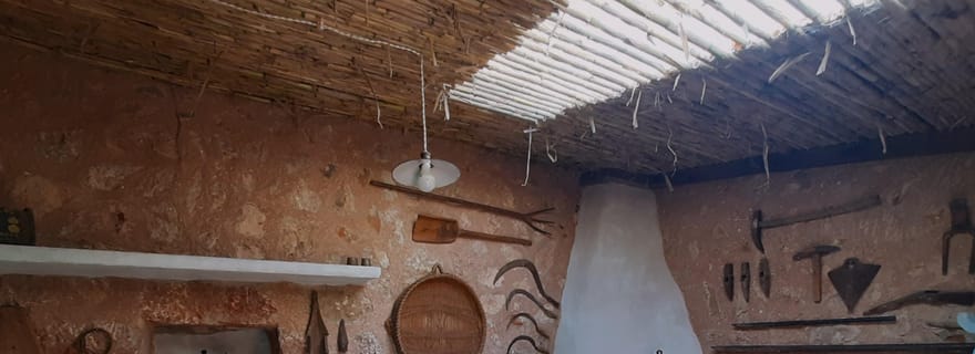 Valle de Sóller, Fornalutx : Visite d'une oliveraie, dégustation d'huile et de produits locaux