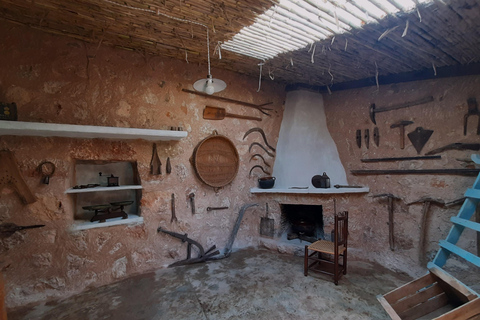 Serra de Tramuntana, Fornalutx: The olive tree: culture, cultivation, tasting.