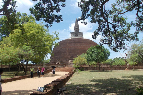 Polonnaruwa Cycling: Paddy-Field Lunch with Eco Park Safari All-Inclusive Package