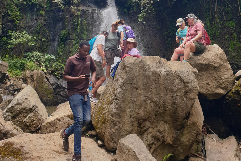 Cascata de Arusha, passeio pela aldeia e/ou excursão ao café