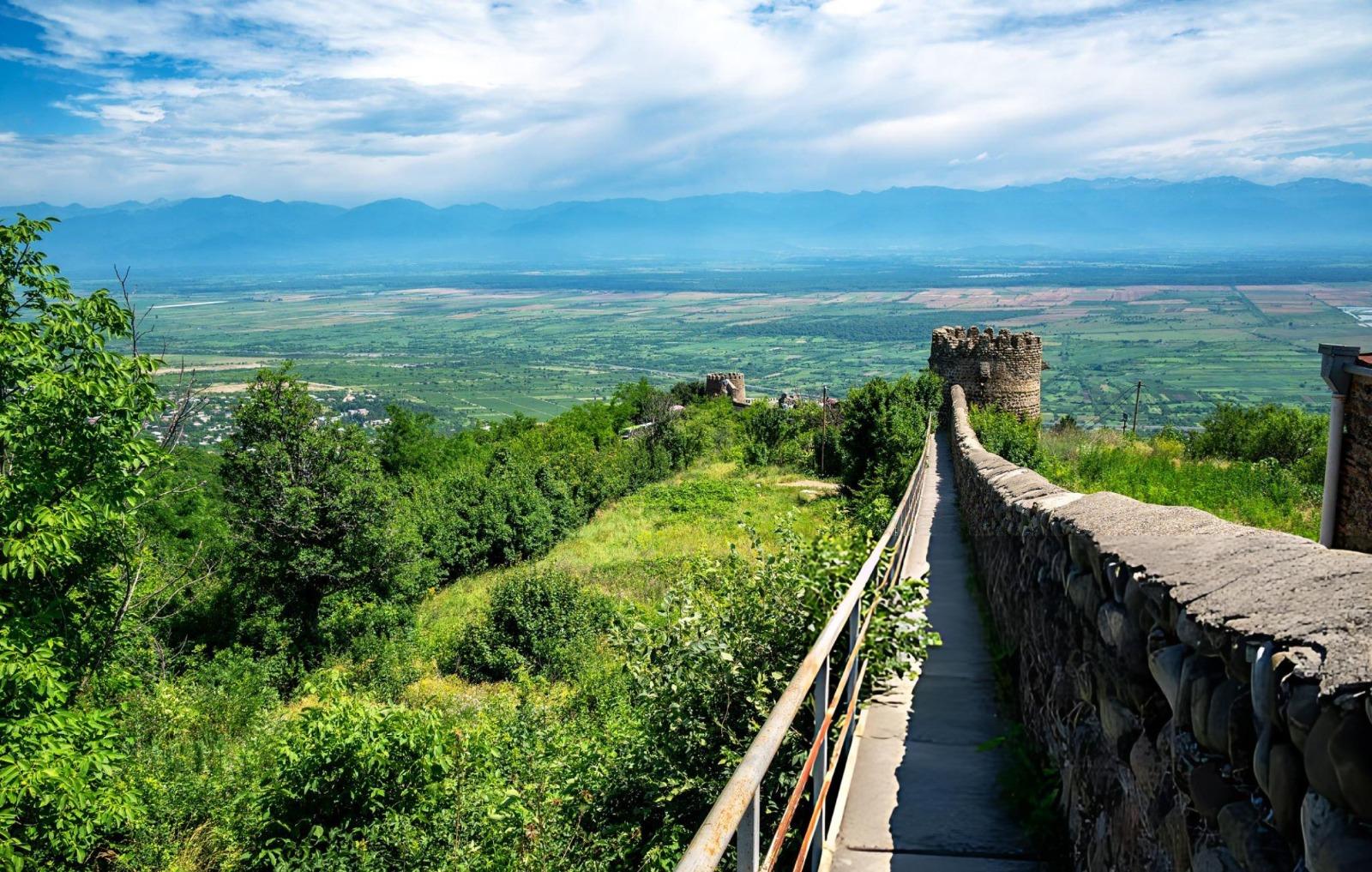 Tiflis: Kachetien-Wein- & Stadt-der-Liebe-Tour – Weinprobe✨