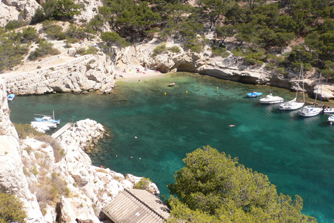 From Bandol: Visit the 13 calanques of Cassis & Marseille