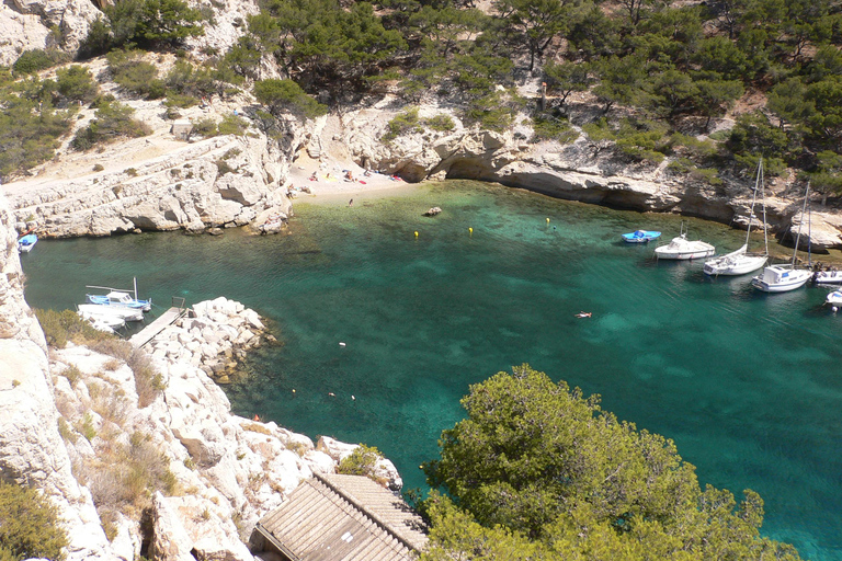 From Bandol: Visit the 13 calanques of Cassis & Marseille