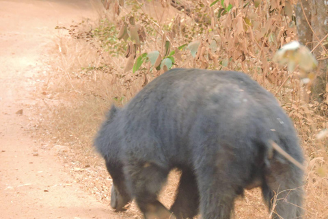 Yala/Mirissa: All Inclusive Full-Day Safari at Yala Park Mirissa/Weligama: All Inclusive Full-Day Safari at Yala Park