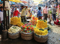 Guided Private Tour of City of Joy -Kolkata - Housity