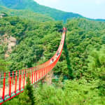 Seoul: DMZ Il terzo tunnel e il ponte sospeso