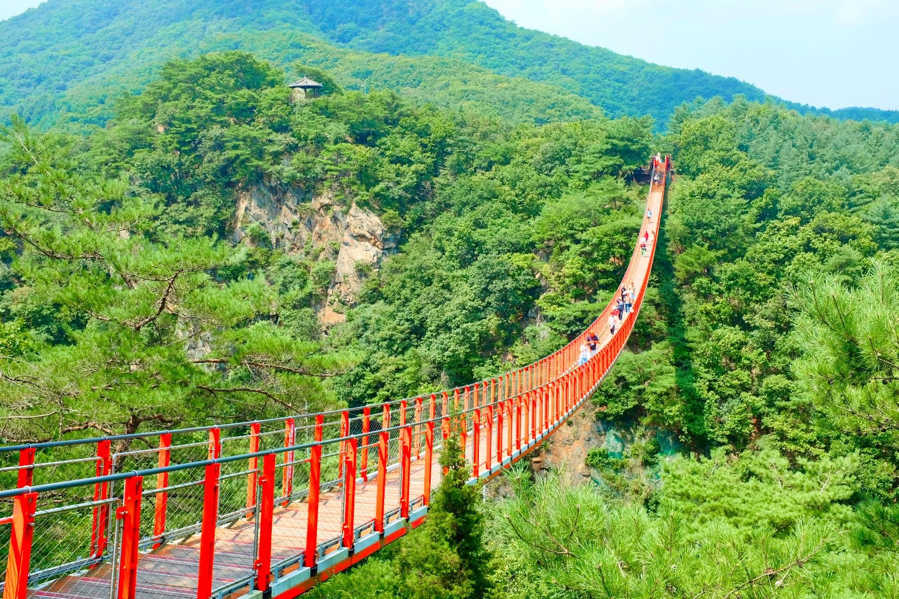Seoul: DMZ Der 3. Tunnel und die Hängebrücke Tour