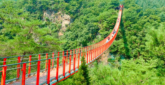 Seoul: DMZ Der 3. Tunnel und die Hängebrücke Tour