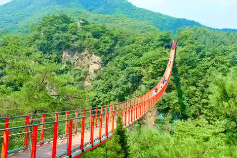 Desde Seúl: DMZ Excursión al 3er Túnel y Puente Colgante
