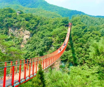 From Seoul: DMZ The 3rd Tunnel and Suspension Bridge Tour