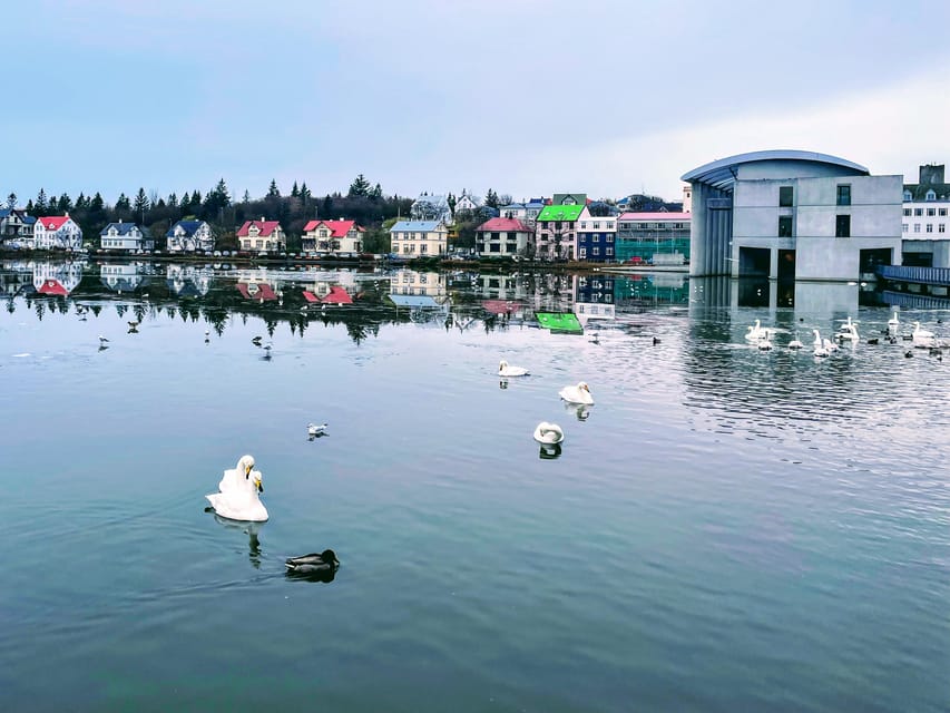 Reykjavik: City Walking tour in Small Group with Local Guide