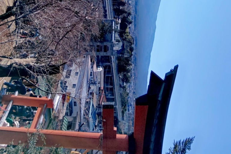 Mt Fuji Sightseeing Private tour with English Speaking Guide