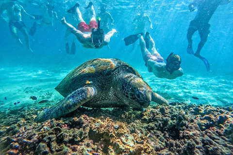 Ko Tao: Vintage Boat-Small Group Snorkeling Day Trip w/Meals