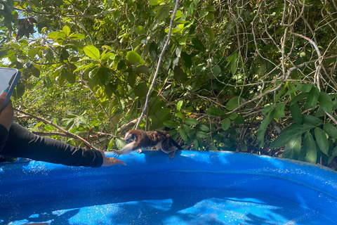 Canal do Panamá: passeio particular de barco e vida selvagem no Lago Gatun