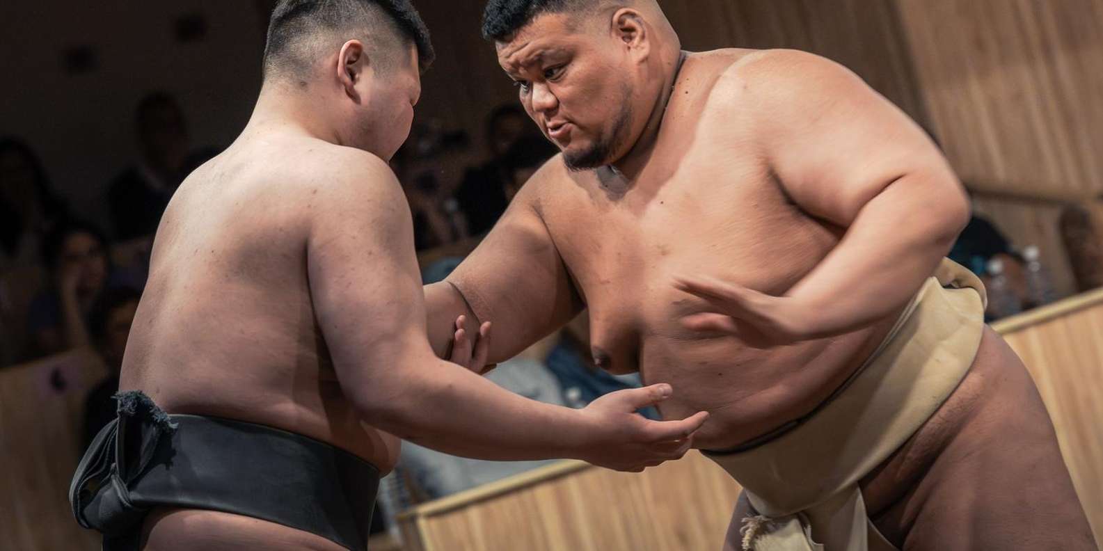 Tokyo: Sumo Show and Experience in Shinjuku