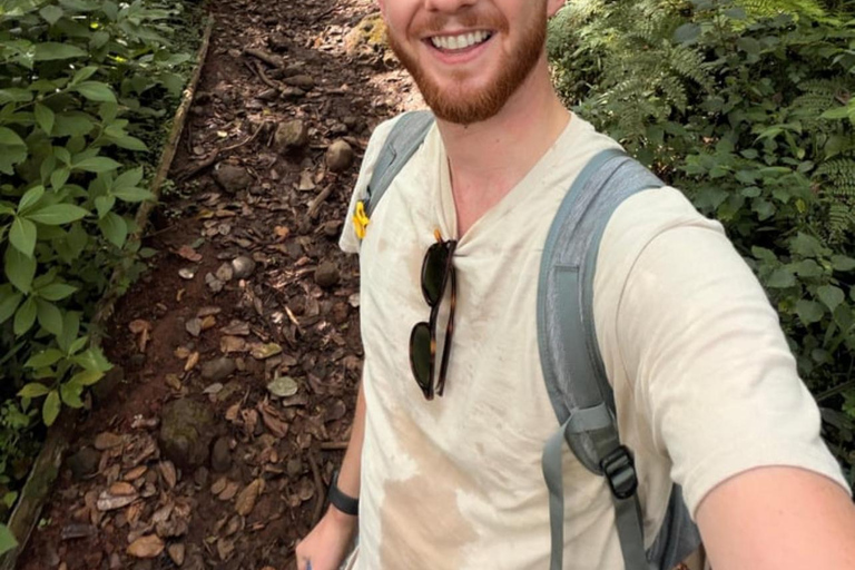 Moshi/Arusha: Kilimanjaro Day Trek~Lemosho, Marangu, Machame Arusha : Machame route day hike